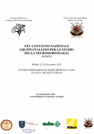 XXV convegno GISN