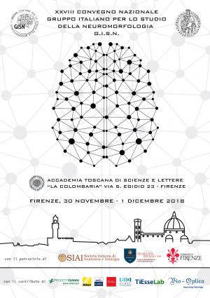 XXVIII convegno GISN