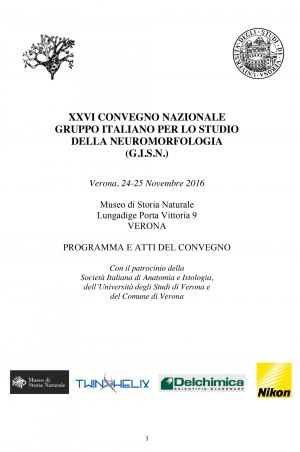 XXVI convegno GISN